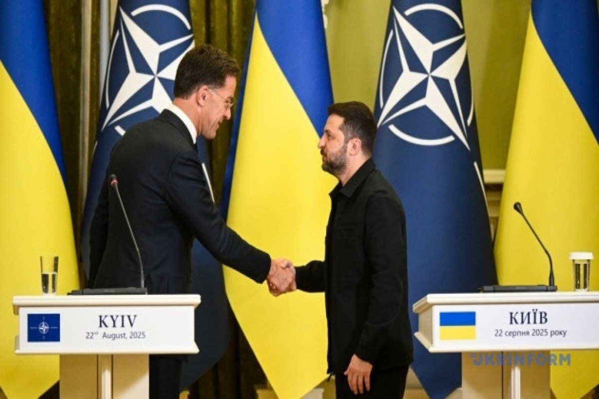 Марк Рютте, Владимир Зеленский