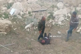 В Губе автомобиль съмочной группы  упал в овраг, есть погибший и пострадавший-ВИДЕО-ОБНОВЛЕНО-2 