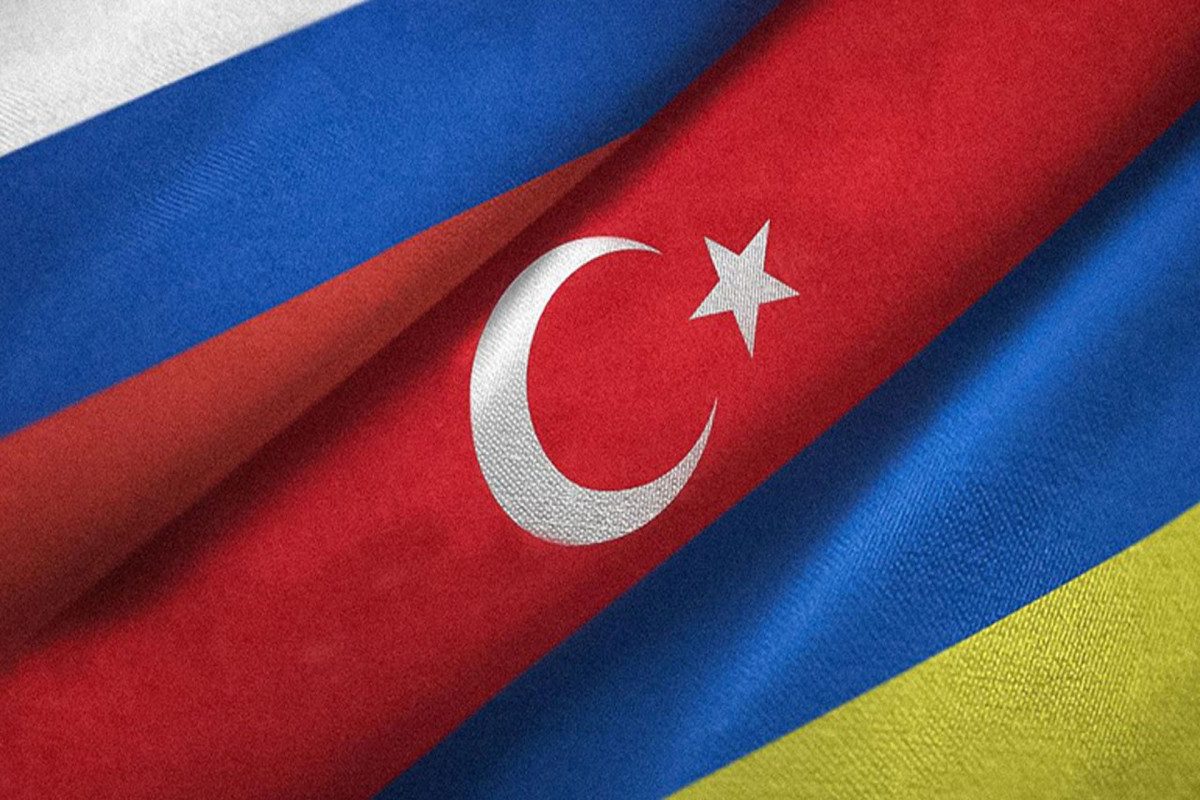 МИД Турции: Некоторые пункты мирного соглашения по Украине могут быть решены посредством референдума