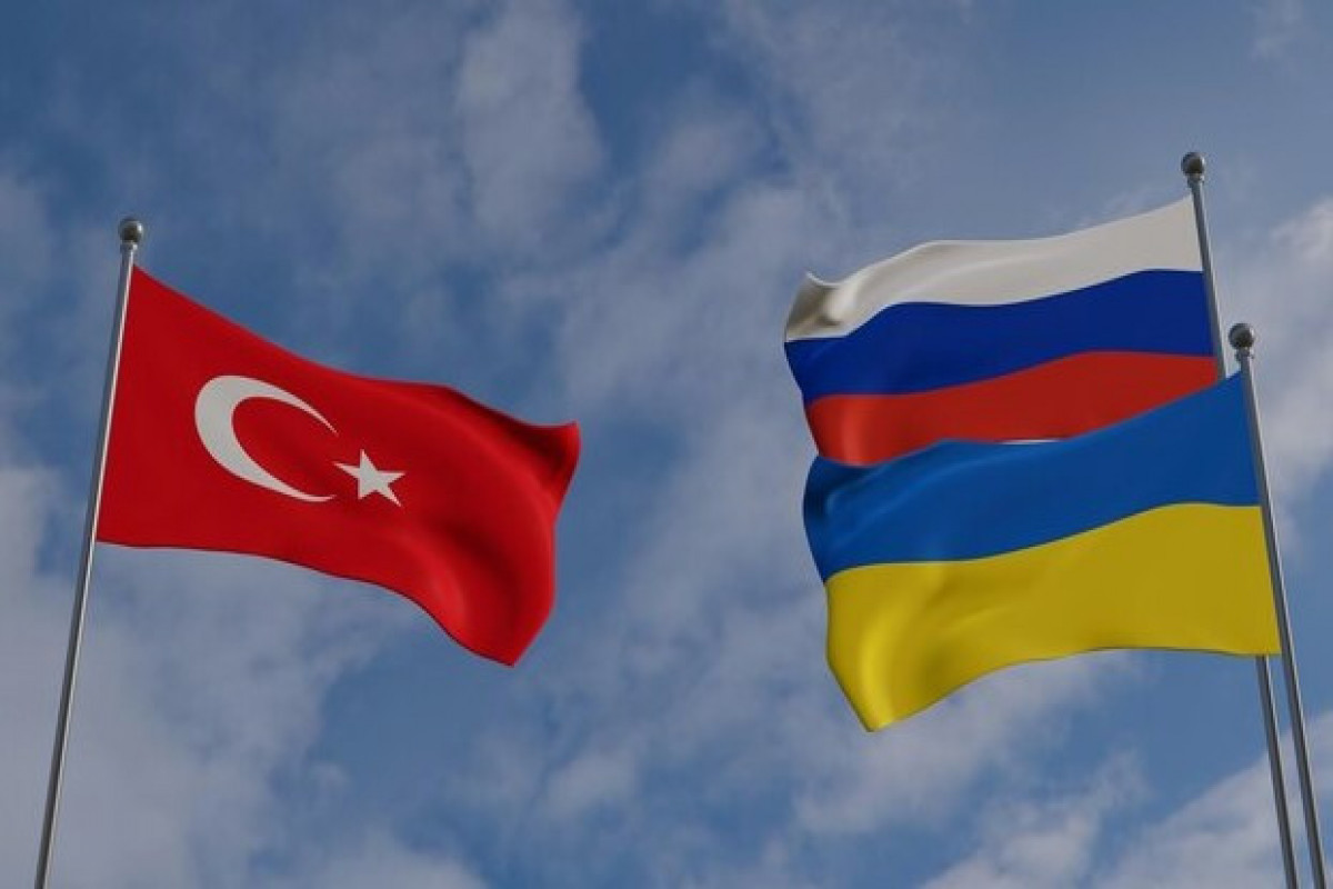 Турция требует от России и Украины ограниченного соглашения до мирного договора