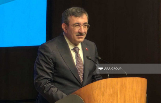 Вице-президент: Турция готова к всестороннему сотрудничеству с Азербайджаном в сфере возобновляемой энергетики