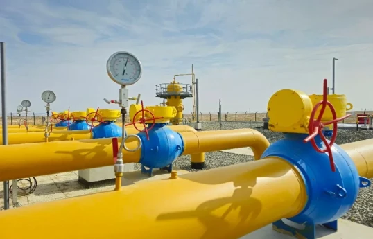 Поставки газа РФ в Казахстан, Кыргызстан и Узбекистан выросли на 20%