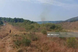 Пожары в Агдамском и Агдеринском районах продолжаются - ФОТО 