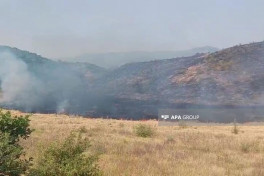 Пожары в Агдамском и Агдеринском районах продолжаются - ФОТО 