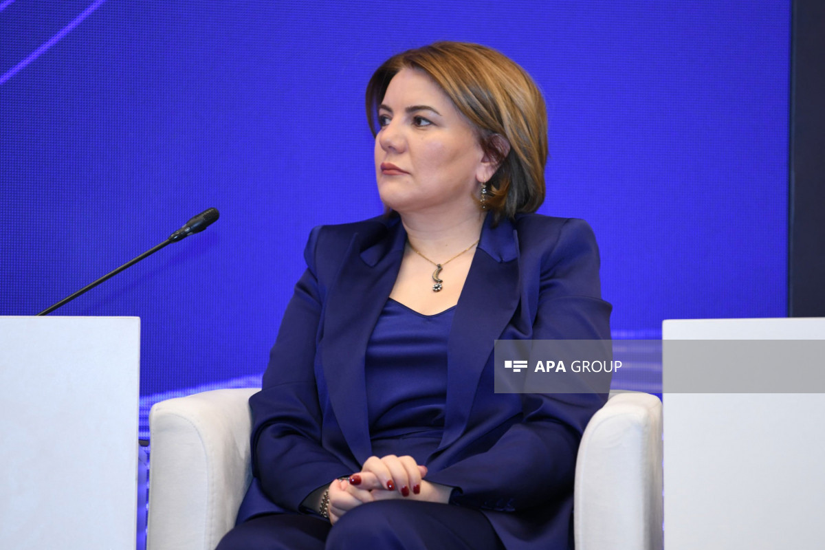 В Баку состоялась панельная дискуссия в рамках «Stratcom Public Forum» – ФОТО 