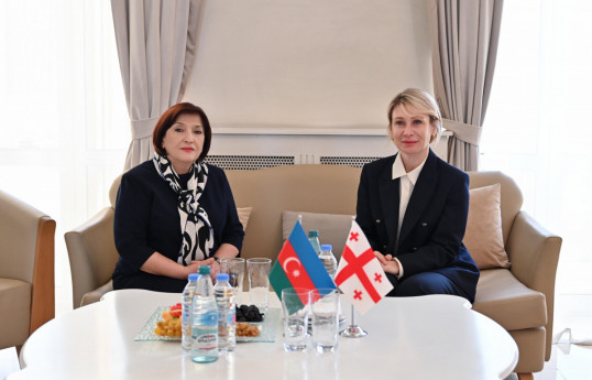 Спикер парламента Азербайджана прибыла с визитом в Грузию