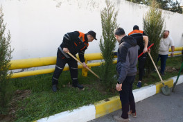В Азербайджане региональные филиалы МЧС провели акцию по посадке деревьев