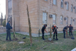 В Азербайджане региональные филиалы МЧС провели акцию по посадке деревьев