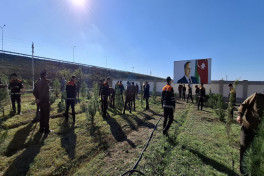 В Азербайджане региональные филиалы МЧС провели акцию по посадке деревьев