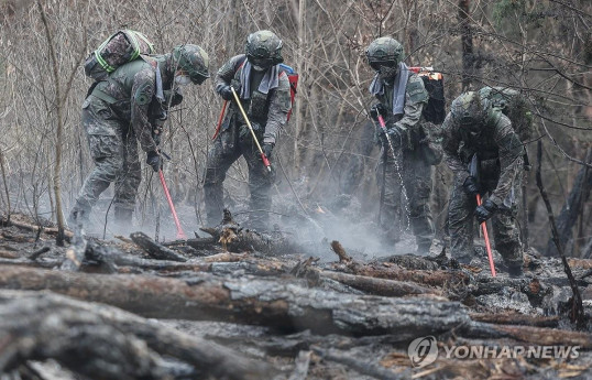 Число погибших в лесных пожарах в Южной Корее выросло до 27