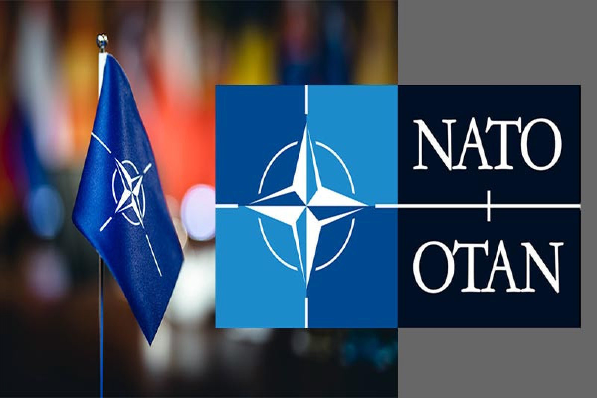 Помощник генсека НАТО: Партнёрство и диалог с Азербайджаном развиваются позитивно