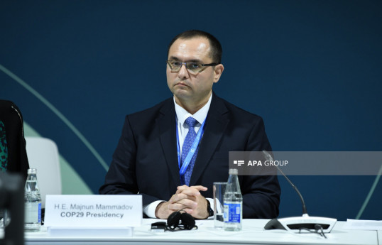 Министр сельского хозяйства Меджнун Мамедов