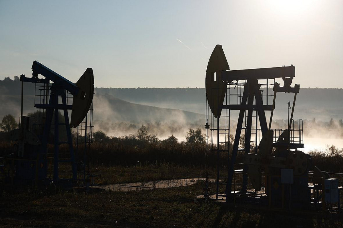 Reuters: Индия купила крупную партию нефти из Южной Америки