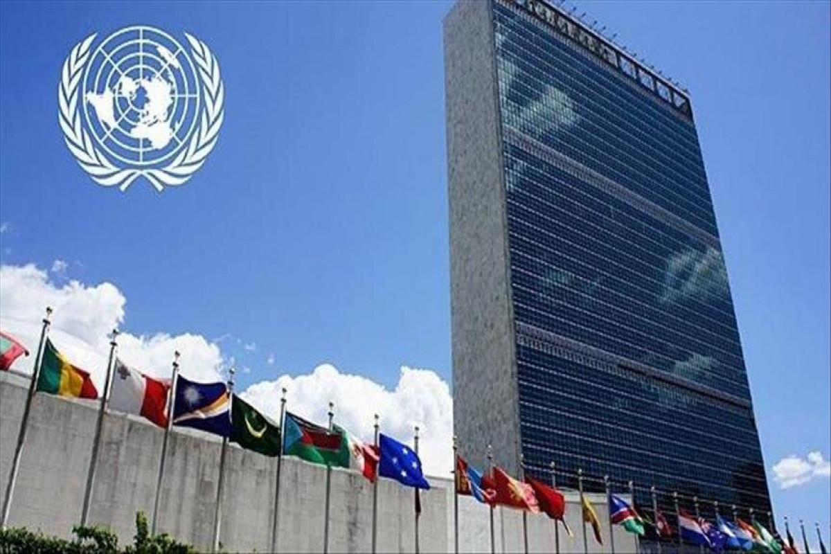 Хуситы освободили 12 сотрудников ООН