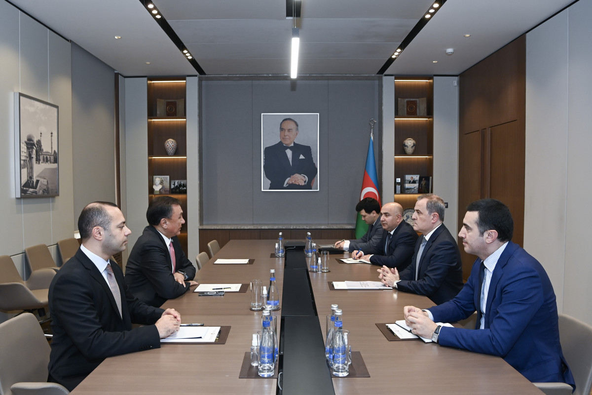 Глава МИД Азербайджана принял генсека ОТГ