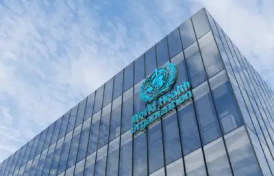 ВОЗ оценила восстановление системы здравоохранения Газы