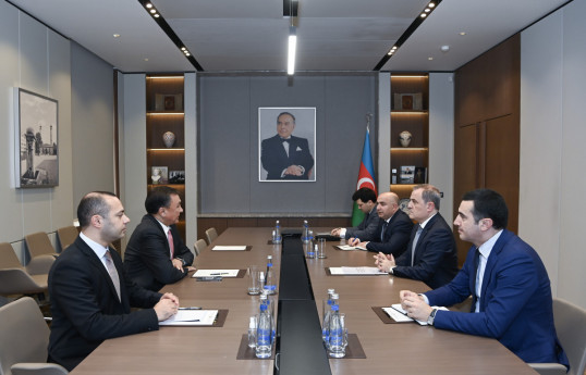 Глава МИД Азербайджана принял генсека ОТГ