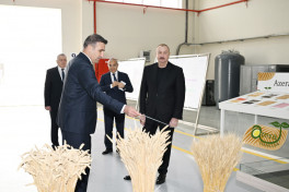 Президент Азербайджана ознакомился с деятельностью семеноводческого предприятия в Сабирабадском промквартале