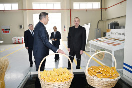 Президент Азербайджана ознакомился с деятельностью семеноводческого предприятия в Сабирабадском промквартале