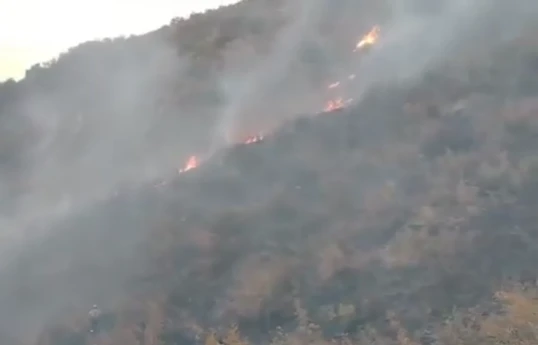 В горной местности на территории Агдеринского района произошел пожар - ВИДЕО 