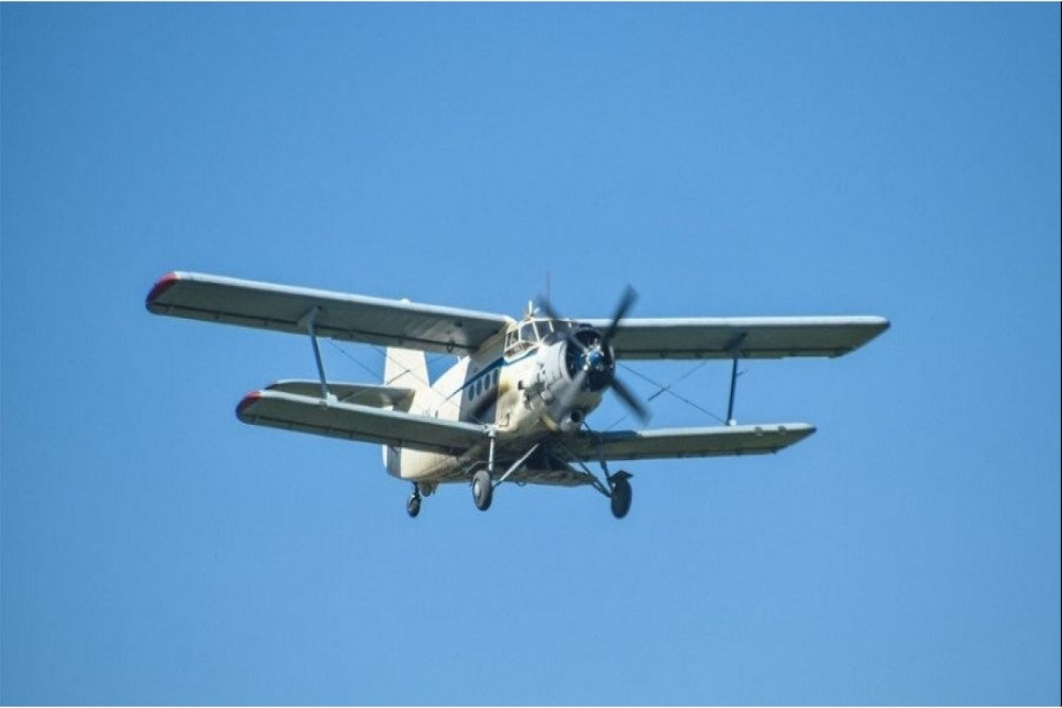 В России разбился Ан-2, пилот погиб