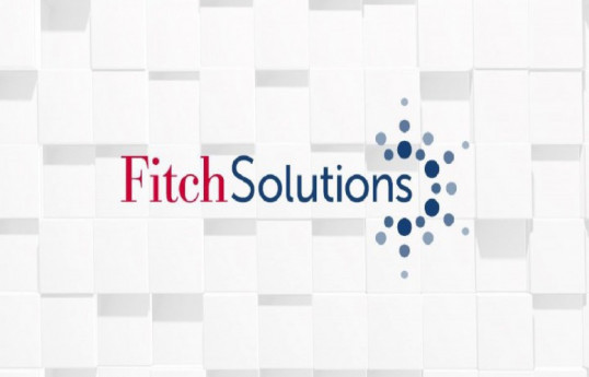Fitch Solutions: Внешняя политика Азербайджана еще больше укрепилась после победы в Карабахе