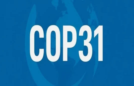 Вице-президент Турции пригласил государства-члены ОТГ на COP31