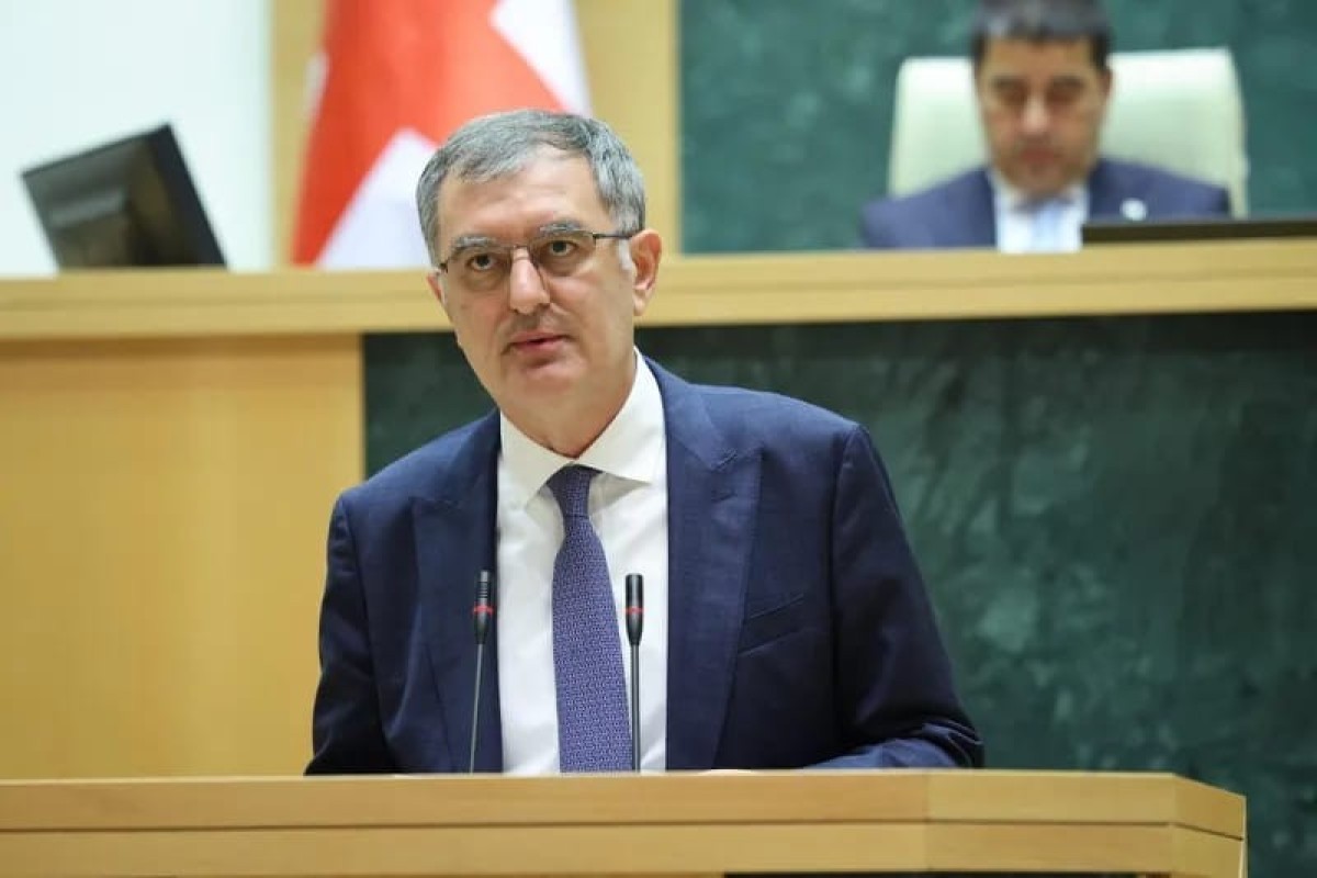 Вице-спикер парламента Грузии Созар Субари