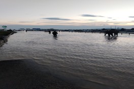 МЧС: Продолжаются работы по устранению последствий и откачке воды в связи с интенсивными осадками-ВИДЕО 