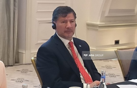 Резидент-координатор ООН в Азербайджане Игорь Гарафулич