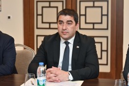 Сахиба Гафарова встретилась с председателем парламента Грузии -ФОТО 