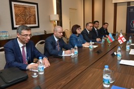 Сахиба Гафарова встретилась с председателем парламента Грузии -ФОТО 