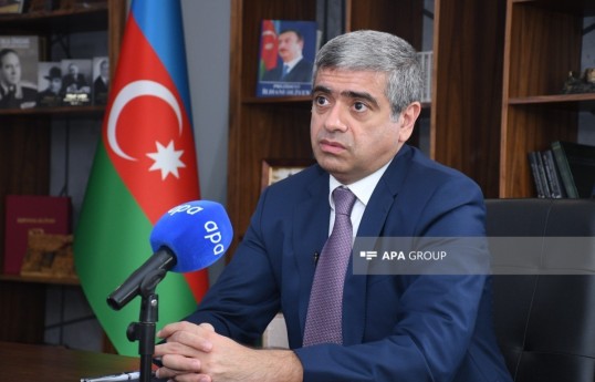 Министр труда и социальной защиты населения Азербайджана Анар Алиев