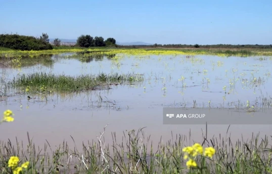 ADSEA: В Куре наблюдается снижение уровня воды