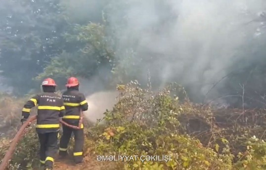 В Лянкяране начался пожар на открытой местности — ВИДЕО 