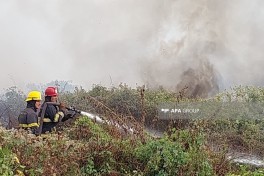 В Лянкяранском районе вспыхнул пожар на открытой местности — ФОТО 