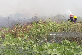 В Лянкяранском районе вспыхнул пожар на открытой местности — ФОТО 