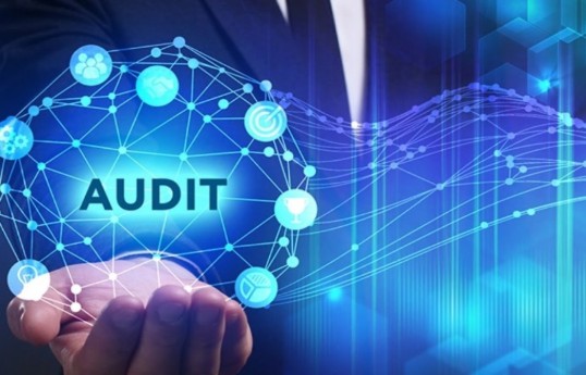 Создана информационная система «Государственный аудит»