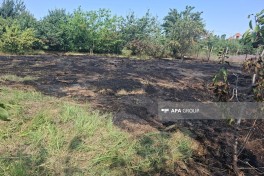 В Губе произошёл пожар на дачном участке — ФОТО 