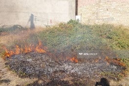 В Лянкяране предотвращено распространение пожара на прилегающую территорию