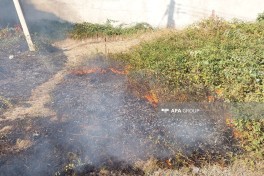 В Лянкяране предотвращено распространение пожара на прилегающую территорию