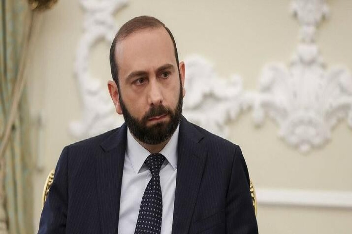 Глава МИД Армении: В ближайшее время будет обнародована информация о поставках продукции из Армении в Азербайджан