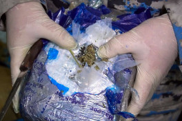 В грузовике, следовавшем из Ирана в Россию, обнаружено 51 кг марихуаны
