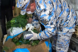 В грузовике, следовавшем из Ирана в Россию, обнаружено 51 кг марихуаны
