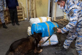 В грузовике, следовавшем из Ирана в Россию, обнаружено 51 кг марихуаны