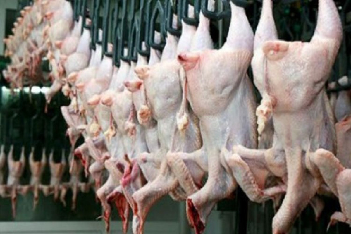 С завтрашнего дня Турция приостанавливает экспорт куриной продукции