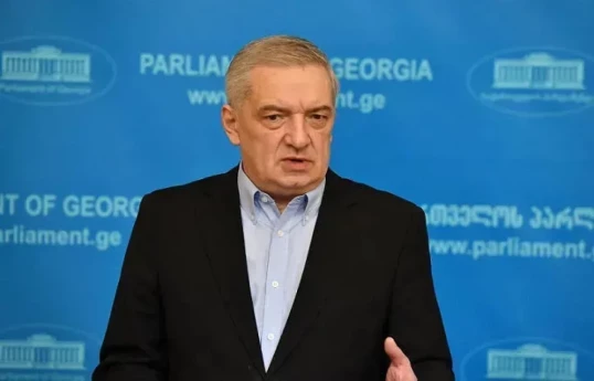 первый вице-спикер парламента Грузии Гия Вольский