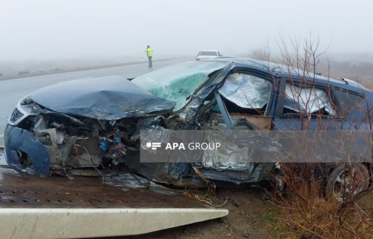 В прошлом году в Азербайджане произошло 1252 ДТП, погибли 689 человек