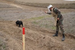 МЧС: Очистка освобождённых от оккупации территорий от мин продолжается ускоренными темпами-ФОТО 