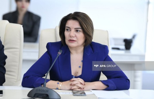 генеральный директор APA Media Group, председатель Комиссии по языку Совета прессы Азербайджана Вюсаля Махиргызы